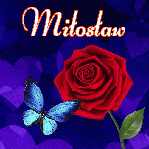 Miłego wieczoru i dobrej nocy życzę!。 