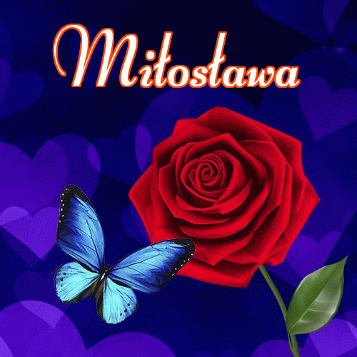 Miłego wieczoru i dobrej nocy życzę!。 