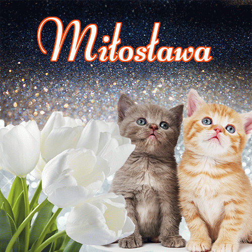 Miłego wieczoru i dobrej nocy życzę!。 