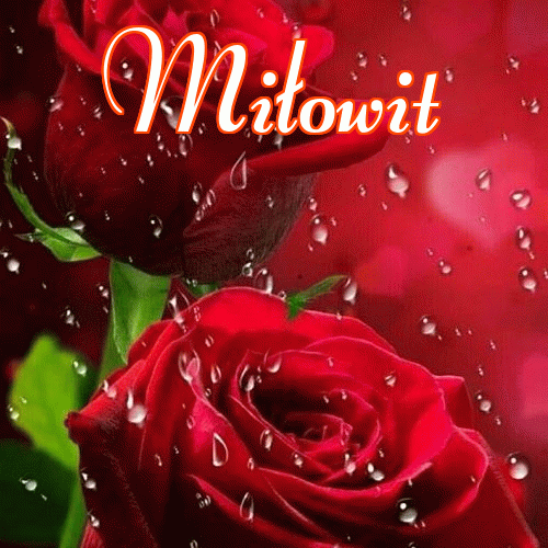 Miłego wieczoru i dobrej nocy życzę!。 