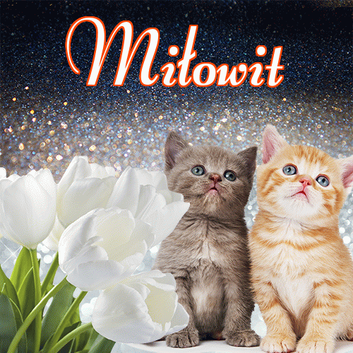 Miłego wieczoru i dobrej nocy życzę!。 