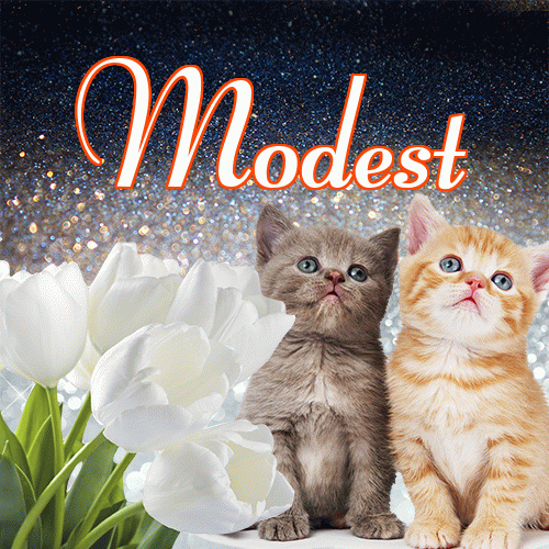 Miłego wieczoru i dobrej nocy życzę!。 