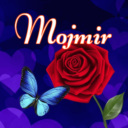 Miłego wieczoru i dobrej nocy życzę!。 