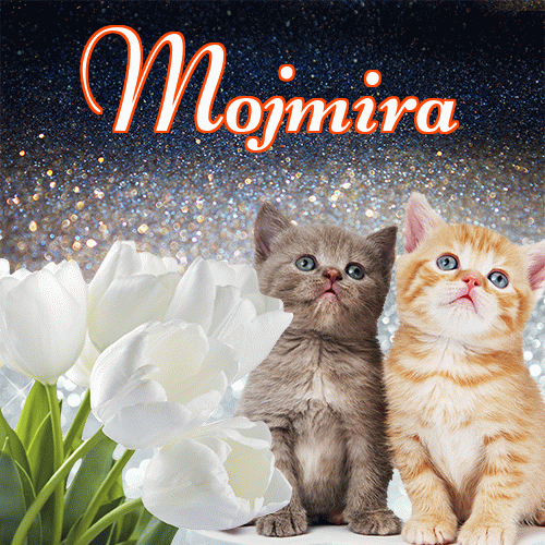 Miłego wieczoru i dobrej nocy życzę!。 