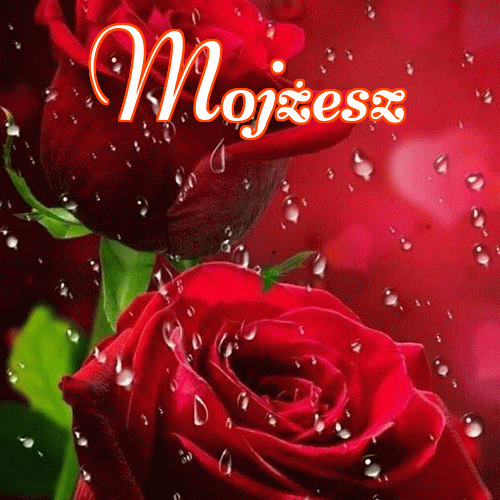 Miłego wieczoru i dobrej nocy życzę!。 