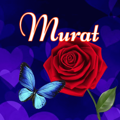 Miłego wieczoru i dobrej nocy życzę!。 