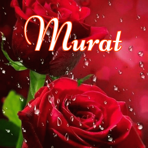 Miłego wieczoru i dobrej nocy życzę!。 