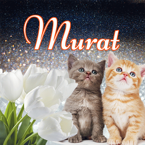 Miłego wieczoru i dobrej nocy życzę!。 