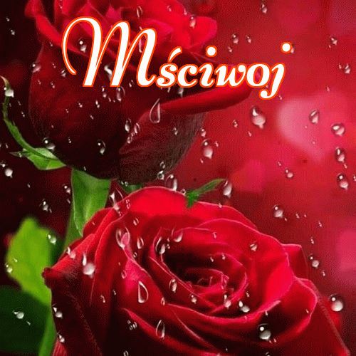 Miłego wieczoru i dobrej nocy życzę!。 