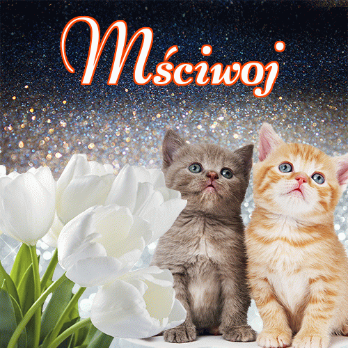 Miłego wieczoru i dobrej nocy życzę!。 