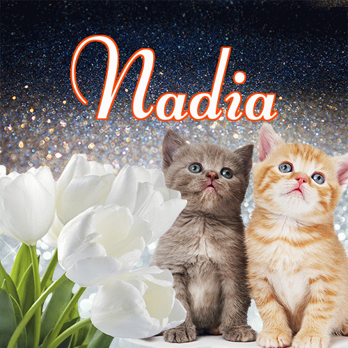 Miłego wieczoru i dobrej nocy życzę!。 