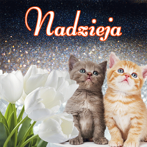 Miłego wieczoru i dobrej nocy życzę!。 