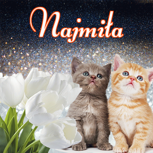 Miłego wieczoru i dobrej nocy życzę!。 