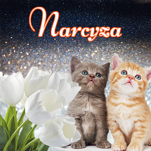 Miłego wieczoru i dobrej nocy życzę!。 