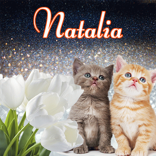 Miłego wieczoru i dobrej nocy życzę!。 