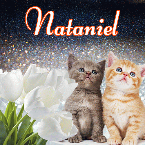 Miłego wieczoru i dobrej nocy życzę!。 