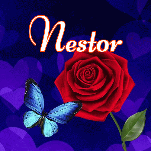 Miłego wieczoru i dobrej nocy życzę!。 