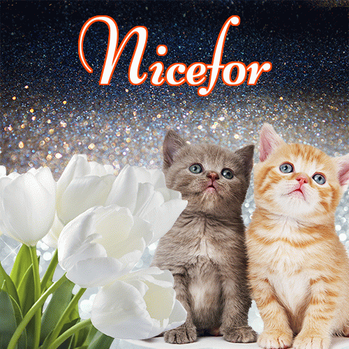 Miłego wieczoru i dobrej nocy życzę!。 