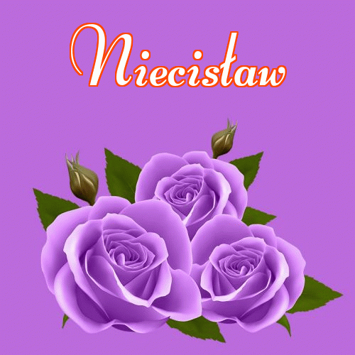 Miłego wieczoru i dobrej nocy życzę!。 