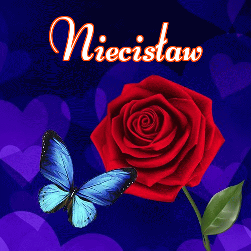 Miłego wieczoru i dobrej nocy życzę!。 