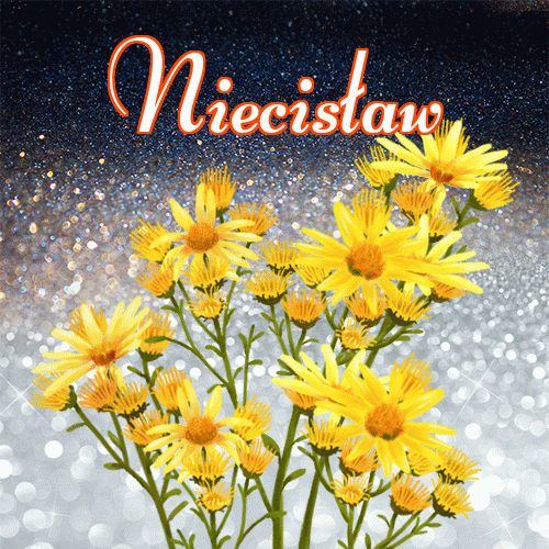 Miłego wieczoru i dobrej nocy życzę!。 