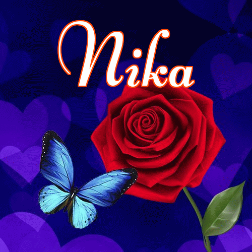 Miłego wieczoru i dobrej nocy życzę!。 