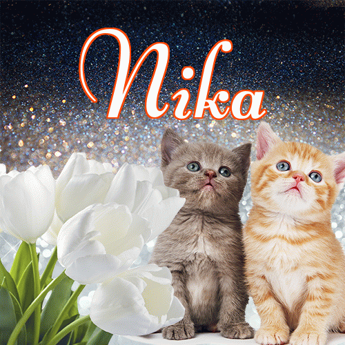 Miłego wieczoru i dobrej nocy życzę!。 