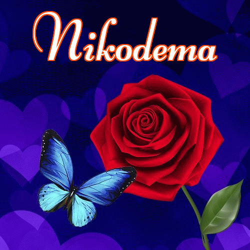 Miłego wieczoru i dobrej nocy życzę!。 