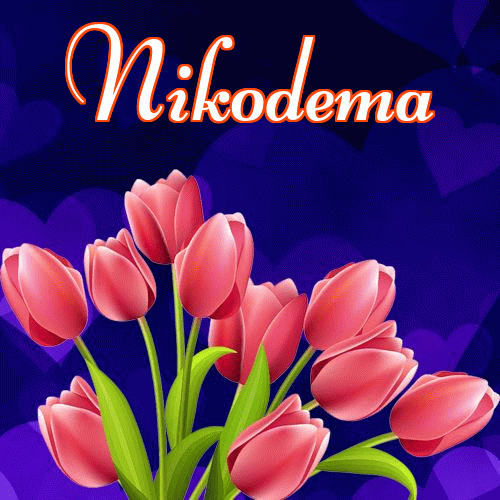 Miłego wieczoru i dobrej nocy życzę!。 