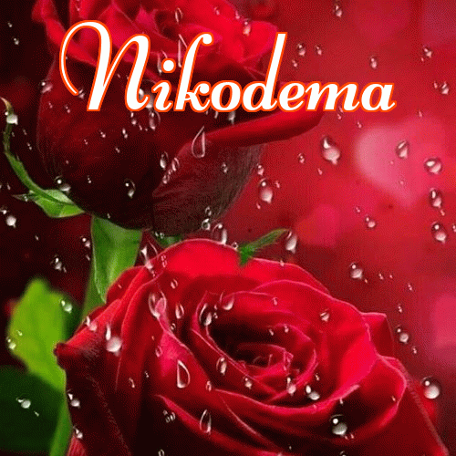 Miłego wieczoru i dobrej nocy życzę!。 