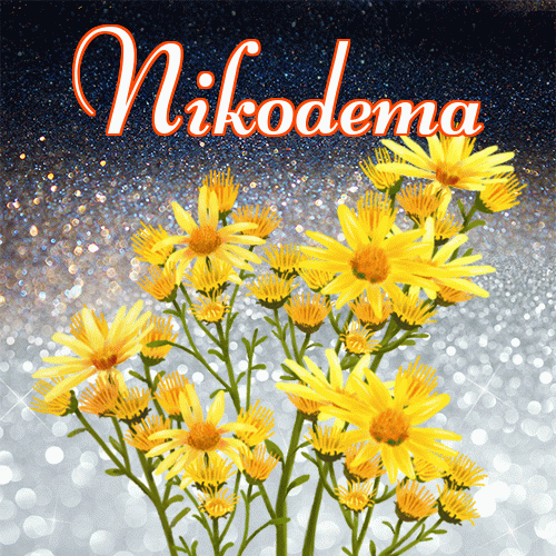 Miłego wieczoru i dobrej nocy życzę!。 