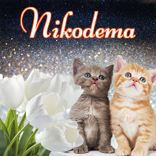 Miłego wieczoru i dobrej nocy życzę!。 