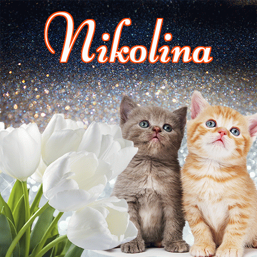 Miłego wieczoru i dobrej nocy życzę!。 