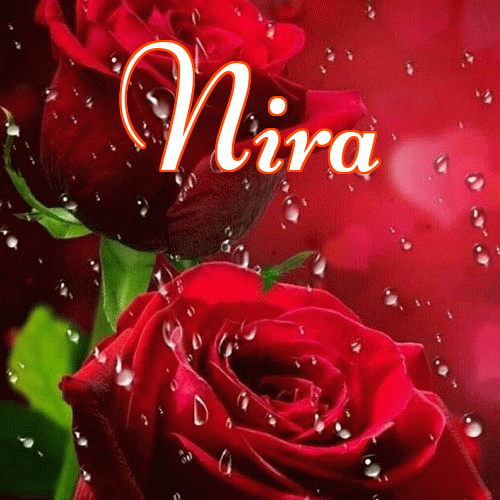 Miłego wieczoru i dobrej nocy życzę!。 