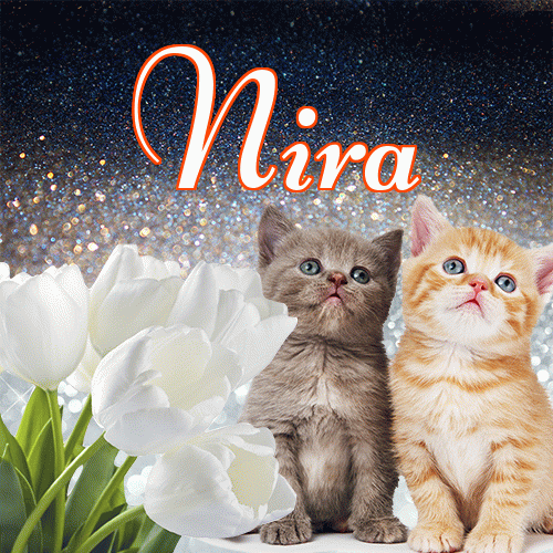 Miłego wieczoru i dobrej nocy życzę!。 