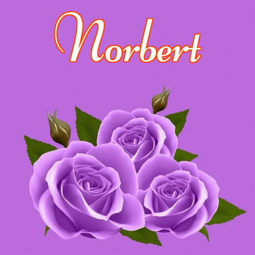 Miłego wieczoru i dobrej nocy życzę!。 