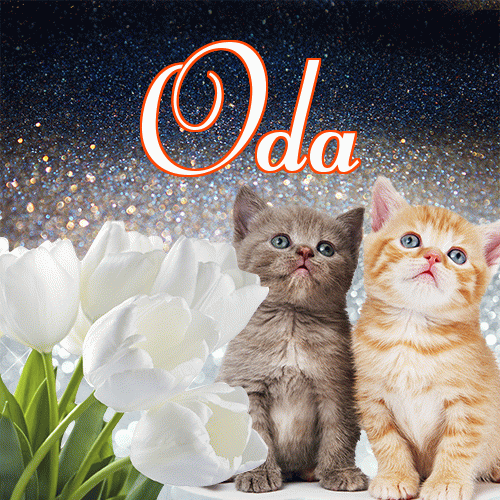 Miłego wieczoru i dobrej nocy życzę!。 