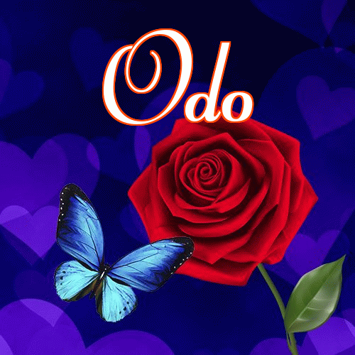 Miłego wieczoru i dobrej nocy życzę!。 