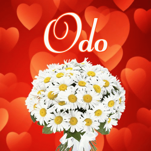 Miłego wieczoru i dobrej nocy życzę!。 