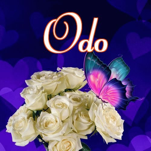 Miłego wieczoru i dobrej nocy życzę!。 