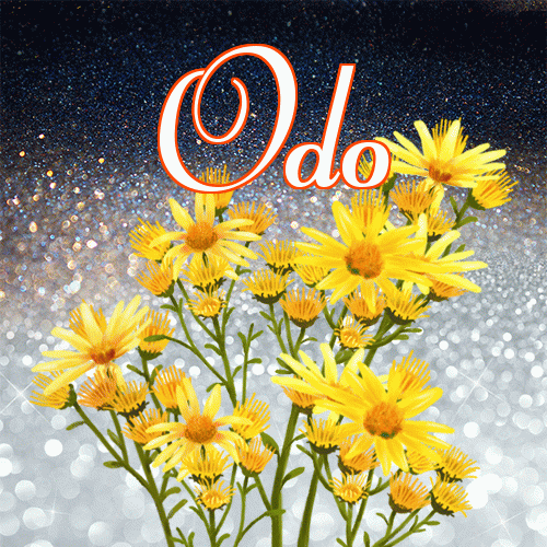 Miłego wieczoru i dobrej nocy życzę!。 