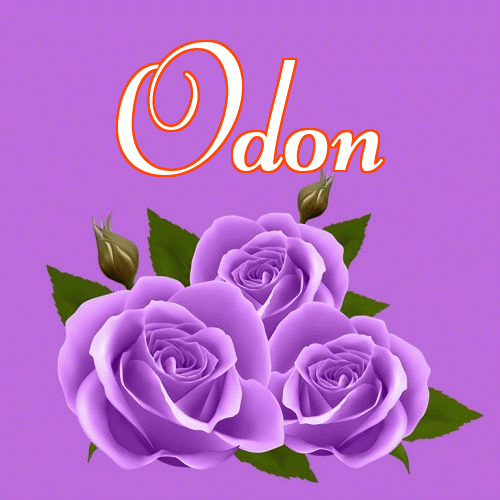 Miłego wieczoru i dobrej nocy życzę!。 