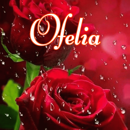 Miłego wieczoru i dobrej nocy życzę!。 