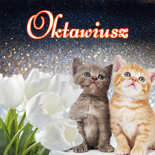 Miłego wieczoru i dobrej nocy życzę!。 