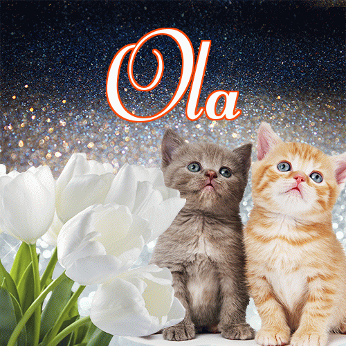 Miłego wieczoru i dobrej nocy życzę!。 