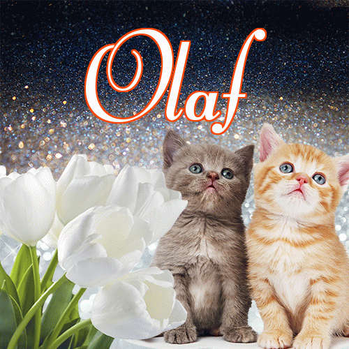 Miłego wieczoru i dobrej nocy życzę!。 