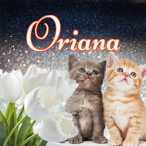 Miłego wieczoru i dobrej nocy życzę!。 