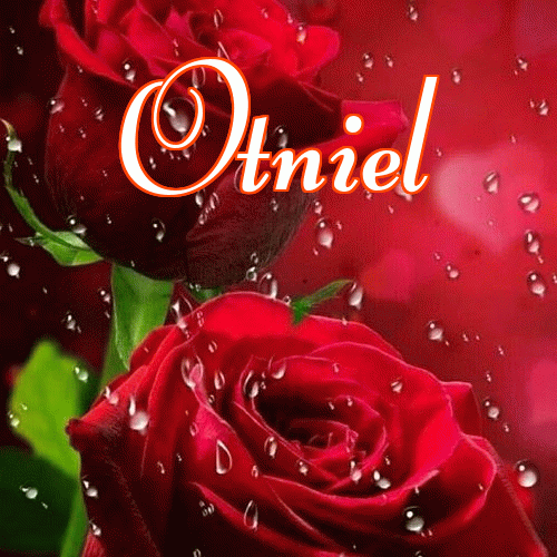 Miłego wieczoru i dobrej nocy życzę!。 