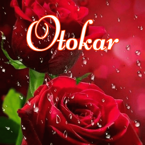 Miłego wieczoru i dobrej nocy życzę!。 