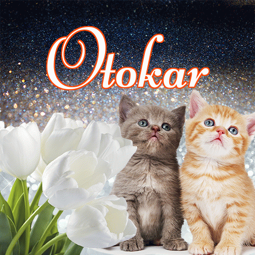 Miłego wieczoru i dobrej nocy życzę!。 